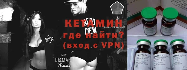 гашик Алексин