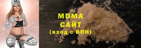 гашик Алексин
