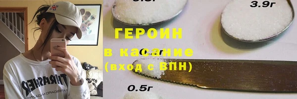 гашик Алексин