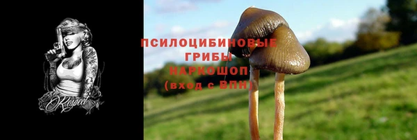 гашик Алексин