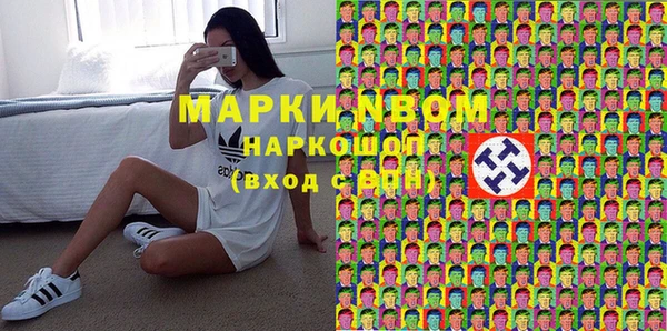 гашик Алексин