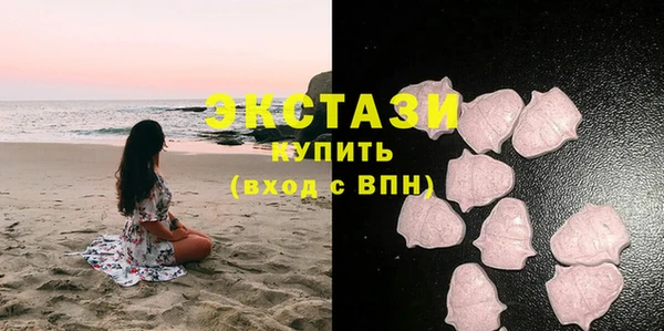 гашик Алексин