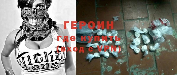 гашик Алексин
