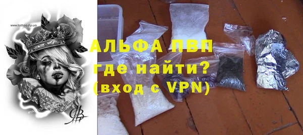гашик Алексин