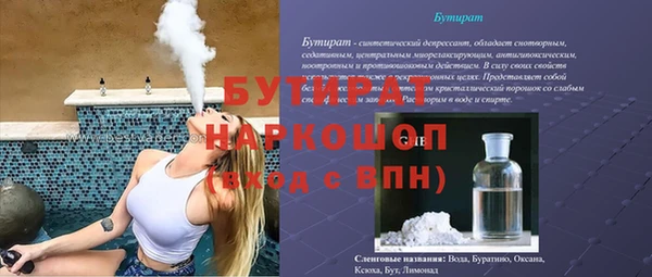 гашик Алексин