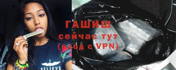 гашик Алексин