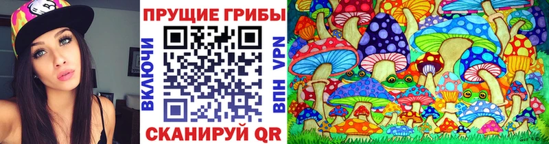 наркота  Сортавала  дарк нет телеграм  Псилоцибиновые грибы мицелий 